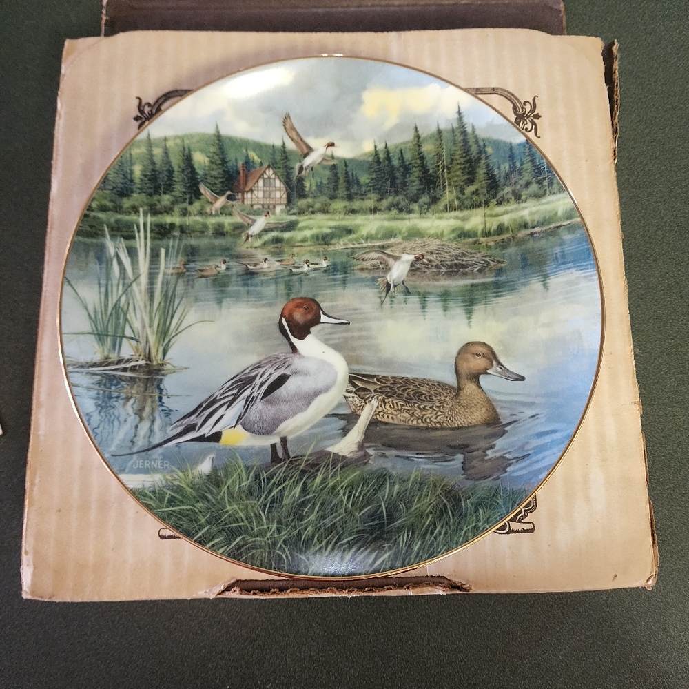 The Pintail collectors plate